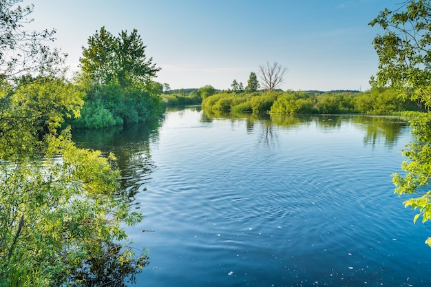 Flusslandschaft und grüner Wald mit blauen Wasserwolken der Bäume am Himmel