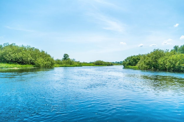 Flusslandschaft und grüner Wald mit blauen Wasserwolken der Bäume am Himmel