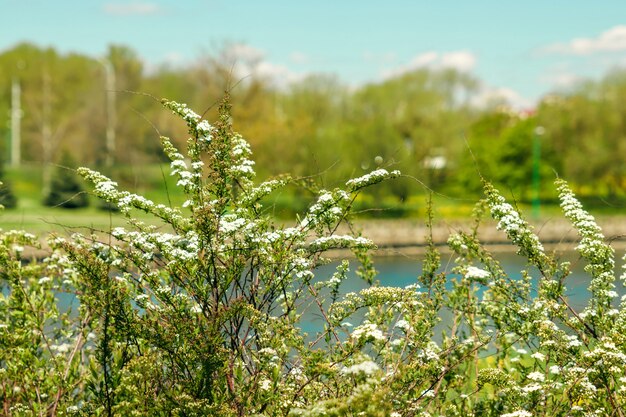 Flusslandschaft