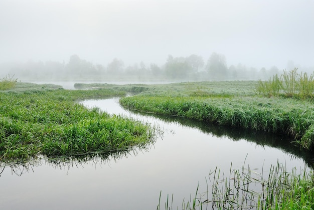 Flussnebel am Morgen