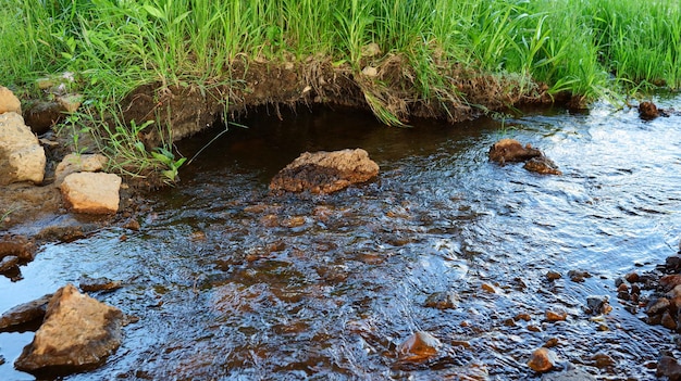 Flussufer mit Felsen und Gras.