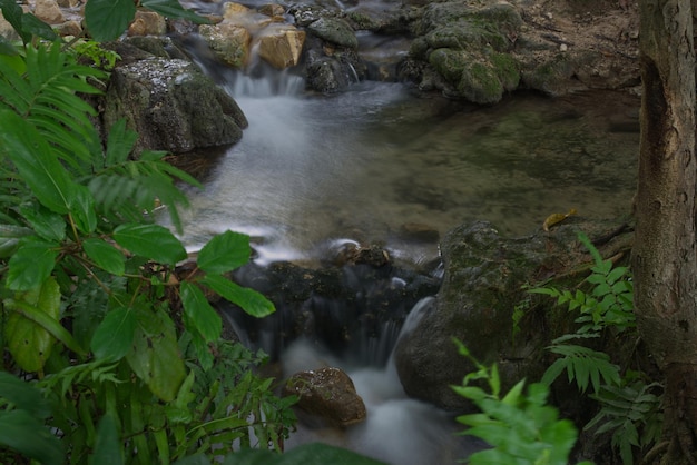 Fluxo de água branca de uma pequena cachoeira em um pequeno riacho