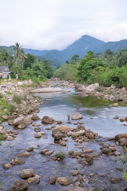 Fluxo de água do córrego da montanha em Promkiri Nakhonsithammarat