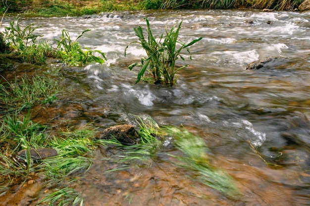 Fluxo de água rápido e poderoso entre grandes rochas em close-up Rochas em rios de montanha frios fundos naturais