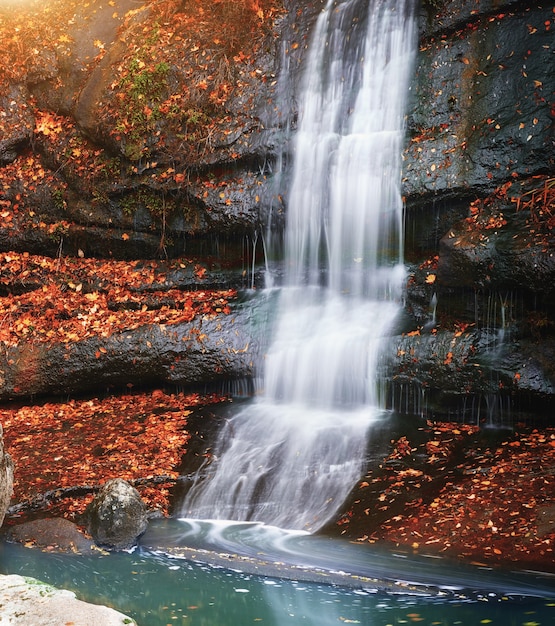 Fluxo de cachoeira de outono. composição da natureza.