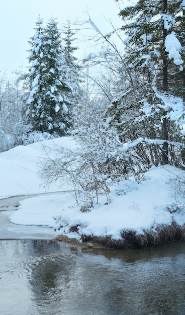 Fluxo de inverno pequeno com árvores nevadas na margem.