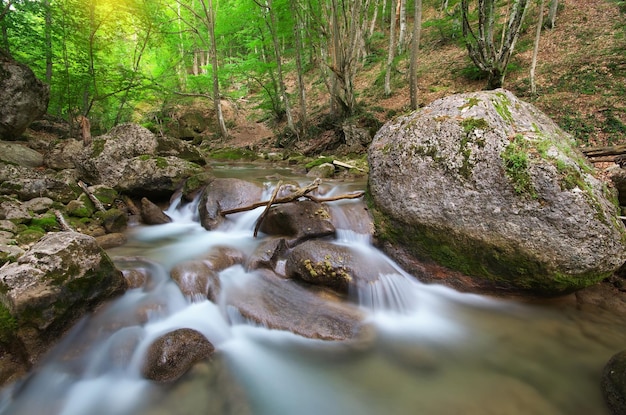 Fluxo de riachos de primavera. composição da natureza.