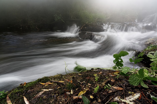 Fluxo de rio poderoso da montanha através da floresta. Movimento congelado das corredeiras do rio de montanha. Poder majestoso natureza das terras altas. Turbulência Aqua.