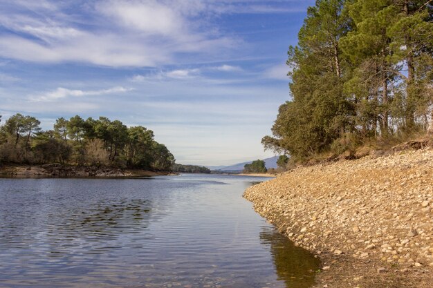 Fluxo de um rio com pedras e árvores nas margens. Dia nublado.