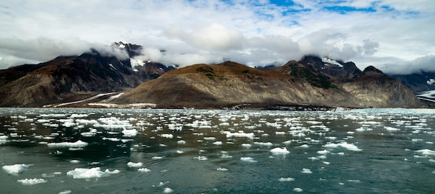 Fluxo glacial kenai fjords alaska harding ice field geleira aialik