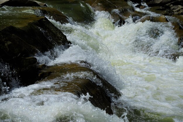 Fluxo tempestuoso de pedras de um rio de montanha