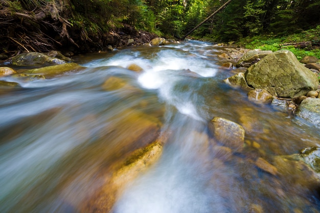 Fluye rápidamente a través del río salvaje del bosque verde con agua cristalina suave y sedosa que cae de grandes piedras mojadas en hermosas cascadas en un brillante día soleado de verano. Tiro de larga exposición.