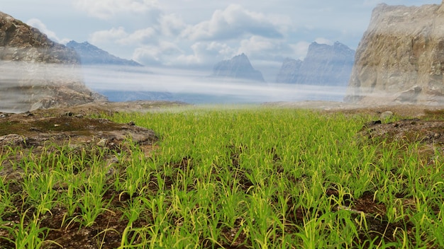 Flying Over The Meadow Background para publicidad en la naturaleza y escena publicitaria