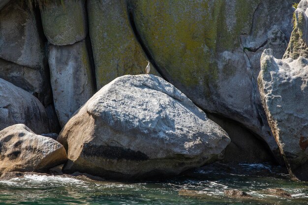 Las focas descansan en las orillas rocosas del Parque Nacional Abel Tasman de Bark Bay, en Nueva Zelanda