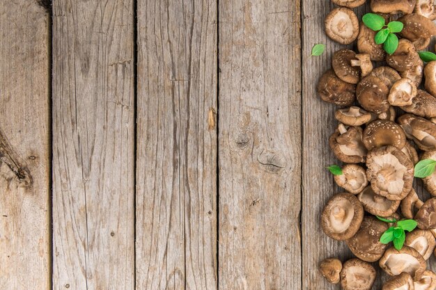 Foto foco seletivo de cogumelos shiitake