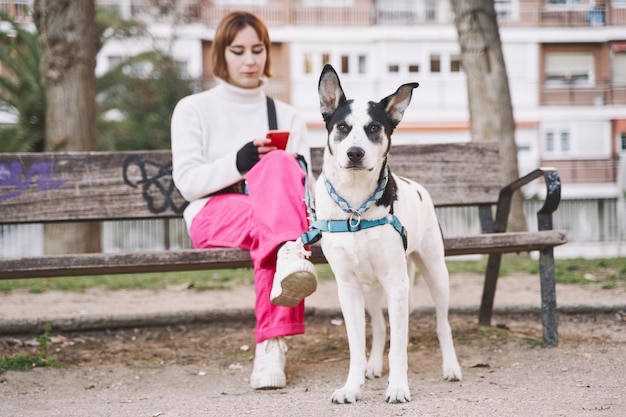 Foco seletivo de uma mulher sentada em um banco usando seu celular com seu cachorro em foco