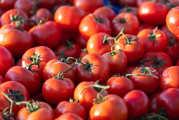 Foco seletivo macio de tomate cereja vermelho fresco Fundo com tomate