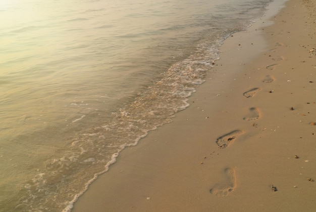 Foco suave das ondas batendo na praia com pegadas de areia e reflexo da luz do sol na água na manhã de verão