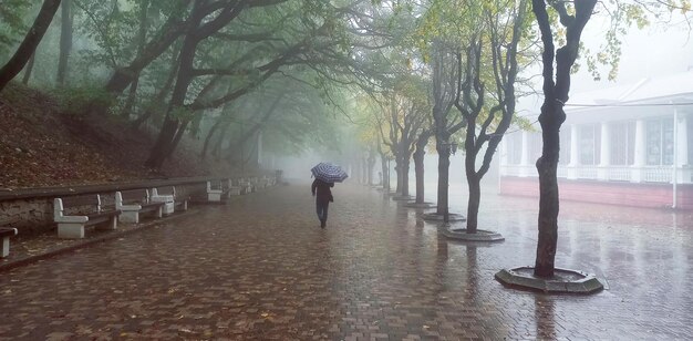 Foco suave Manhã nebulosa no beco da cidade Homem sob um guarda-chuva a