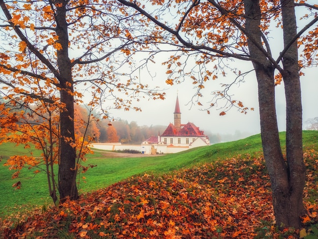 Foco suave. paisagem de manhã de outono. paisagem nevoenta de outono brilhante com árvores douradas e o antigo palácio. gatchina. rússia.