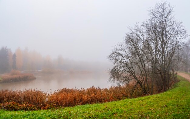 Foco suave Paisagem de outono enevoada com árvore sem folhas na margem de um velho lago Nevoeiro pesado sobre o lago Manhã de outono Vista panorâmica