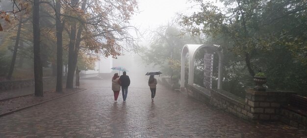 Foco suave Pueblos con sombrillas en movimiento Mañana nublada en el callejón de la ciudad Turistas bajo un paraguas caminan en un parque caminando bajo la lluvia un paraguas de otoño Vista panorámica