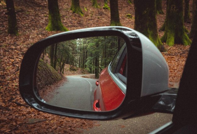 Foco superficial de una escena de otoño desde el coche mirro