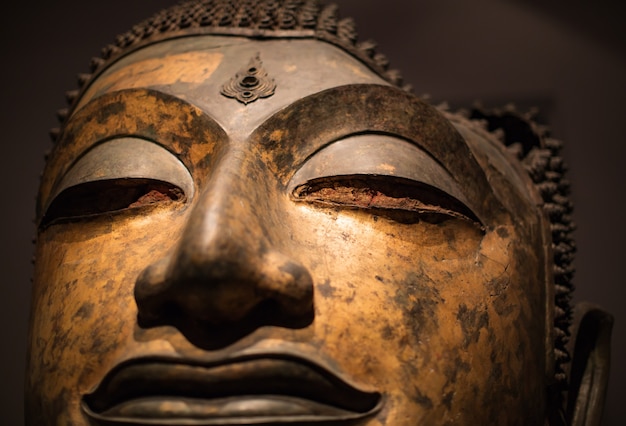 Focus Head Buddha-Statue beschädigte die Ayutthaya-Zeit.