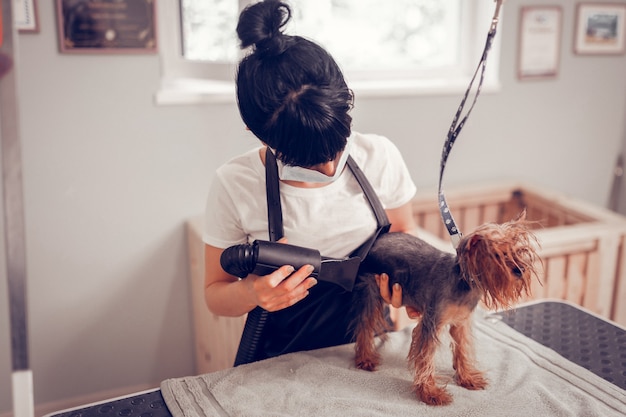 Föhn verwenden. Dunkelhaarige Frau in Uniform mit Föhn nach dem Waschen des Hundes