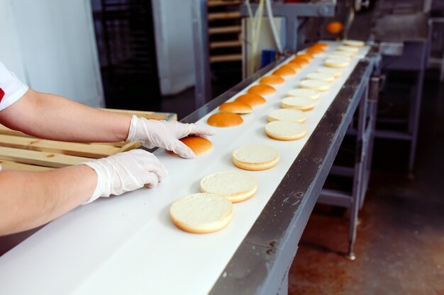 Förderband in einer Bäckerei mit frisch gebackenen Brötchen