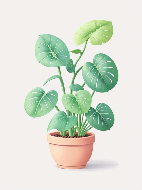 fofo de Philodendron Miniatura em um pote de animação