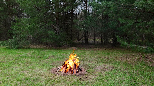 Una fogata ardiente en un claro del bosque.