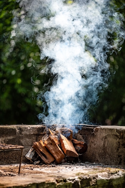 Fogata para barbacoa en la naturaleza