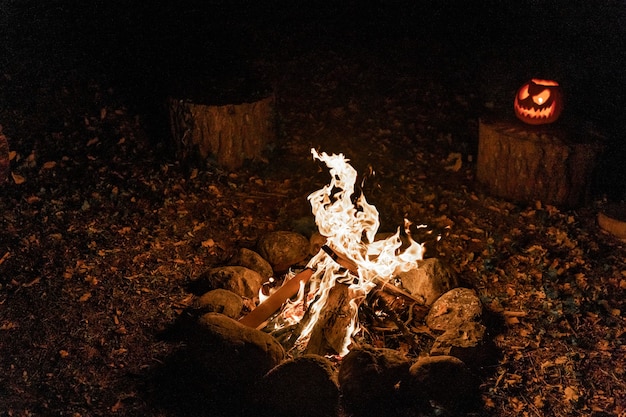 Fogata cálida y acogedora en el bosque Fuego de estanque en vacaciones durante el campamento