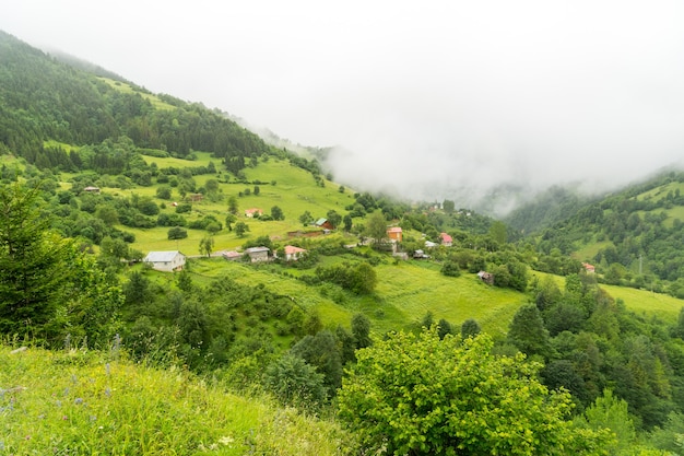 Foggy Plateau Highland com Giresun - Turquia