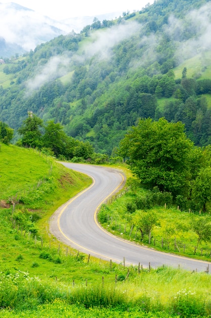 Foggy Plateau Highland com Giresun - Turquia