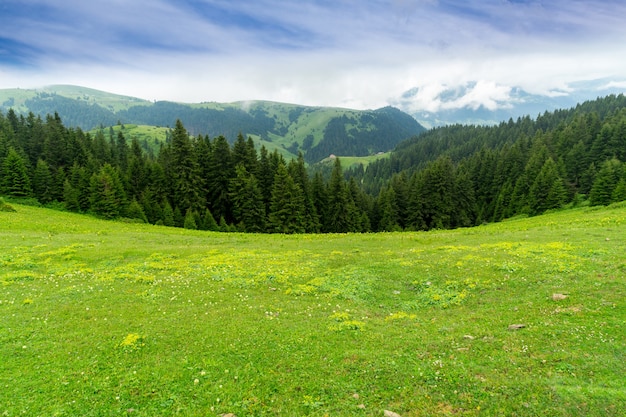 Foggy Plateau Highland com Giresun - Turquia