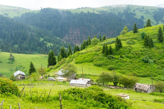 Foggy Plateau Highland com Giresun - Turquia