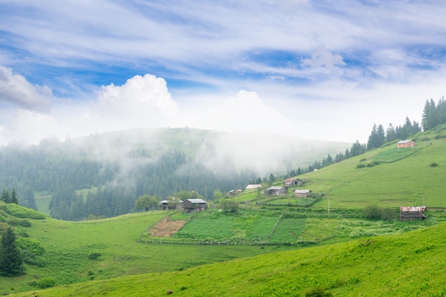 Foggy plateau highland com giresun - turquia