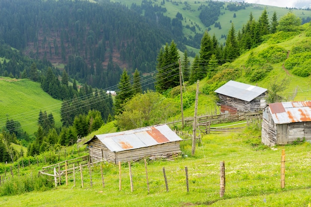 Foggy Plateau Highland mit Giresun - Türkei