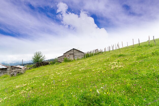 Foggy Plateau Highland mit Giresun - Türkei