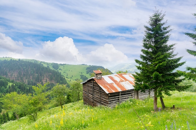 Foggy Plateau Highland mit Giresun - Türkei