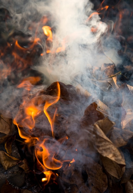 Fogo ardente de folhas secas. Chamas e fumaça de folhas queimadas. Queimar folhas faz mal ao meio ambiente