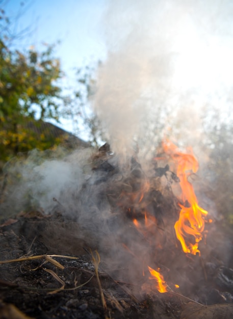 Foto fogo ardente de folhas secas. chamas e fumaça de folhas queimadas. queimar folhas faz mal ao meio ambiente