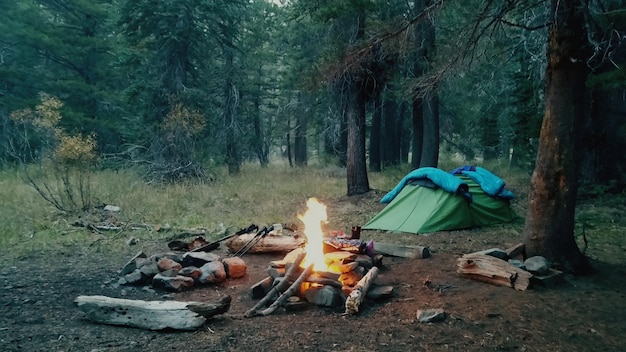 Fogo de acampamento no campo contra as árvores