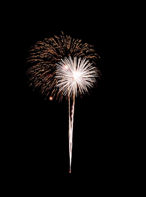 Fogo de artifício dourado no céu escuro