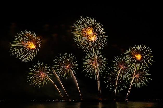 Fogo de artifício no céu escuro