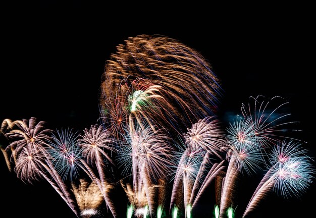 Fogo de artifício no céu para o fundo.