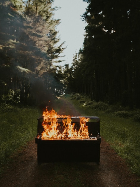 Fogo no piano contra as árvores na floresta