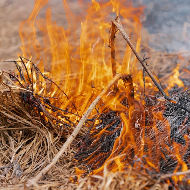 Fogo vermelho e fumaça queimando grama no campo agrícola Desfoque de movimento de foco suave seletivo de fogo forte